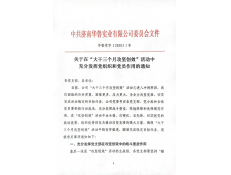 圍繞中心大局，亮出黨員本色，努力攻堅(jiān)創(chuàng)效